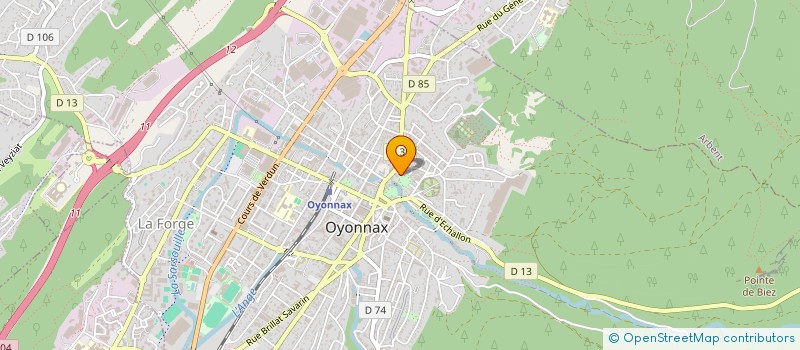 localisation de l'entreprise MONSIEUR NIHAT ARSLAN à OYONNAX