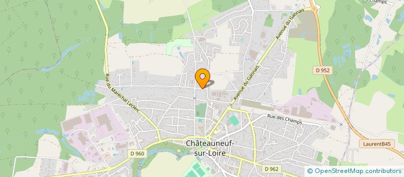 localisation de l'entreprise MONSIEUR NIHAT CANKAYA à CHATEAUNEUF-SUR-LOIRE