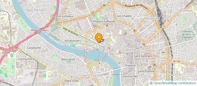 localisation de l'entreprise MONSIEUR NIKITA VASILJEVS  TOULOUSE