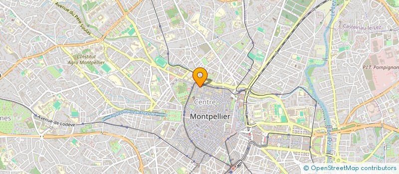 localisation de l'entreprise MONSIEUR NIKO BALIARDO à MONTPELLIER