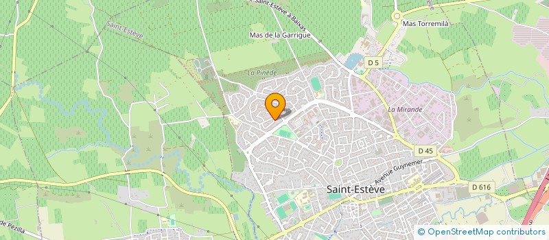 localisation de l'entreprise MONSIEUR NIKOLA BLAGOJEVIC  SAINT-ESTEVE