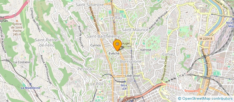 localisation de l'entreprise MONSIEUR NIKOLA GUTIC  NICE