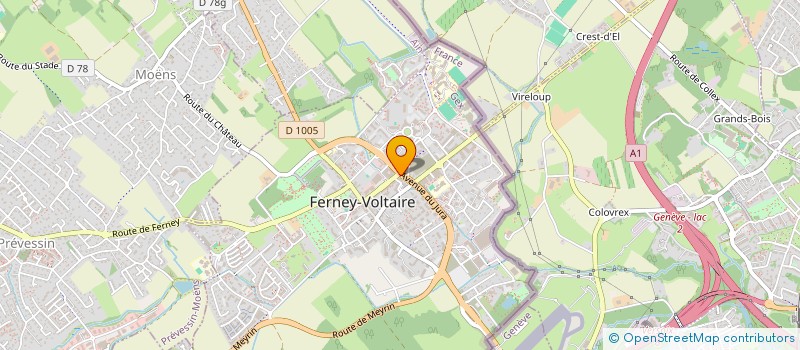 localisation de l'entreprise MONSIEUR NIKOLAS POLITOPOULOS  FERNEY-VOLTAIRE