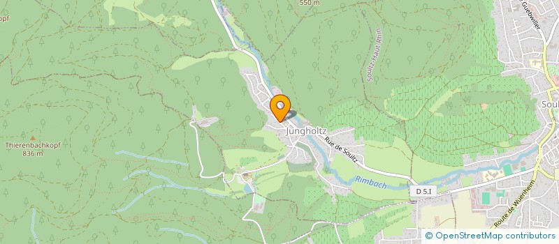 localisation de l'entreprise MONSIEUR NILS SCHULTZ  JUNGHOLTZ