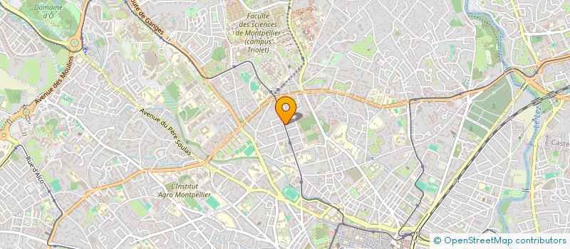 localisation de l'entreprise MONSIEUR NINO TERRIEU à MONTPELLIER