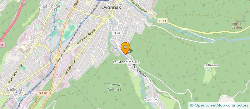 localisation de l'entreprise MONSIEUR NIYAZI SAHIN à OYONNAX