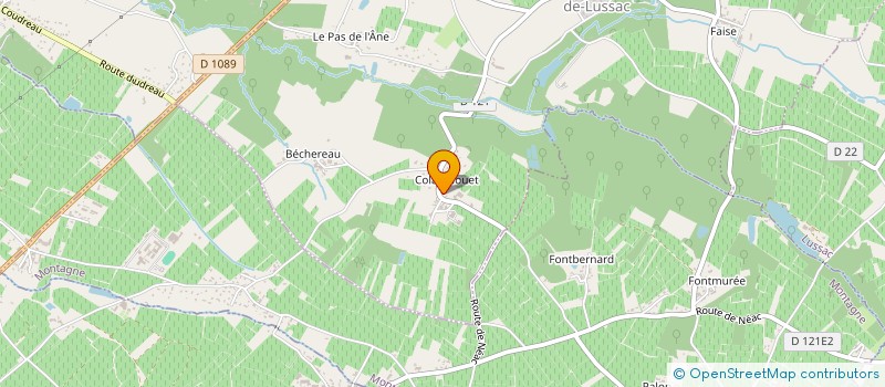 localisation de l'entreprise MONSIEUR NOA CARBONNET  LES ARTIGUES-DE-LUSSAC