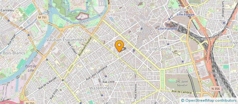 localisation de l'entreprise MONSIEUR NOA WAGNER  LILLE