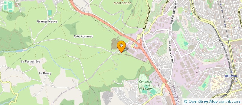 localisation de l'entreprise MONSIEUR NOAH BILLOTET  SAINT-ETIENNE