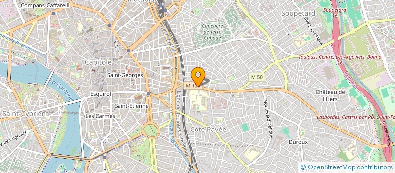 localisation de l'entreprise MONSIEUR NOAH CLARAC--NIANG  TOULOUSE