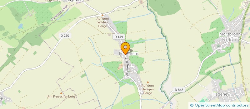 localisation de l'entreprise MONSIEUR NOAH SCHERBA  MIETESHEIM