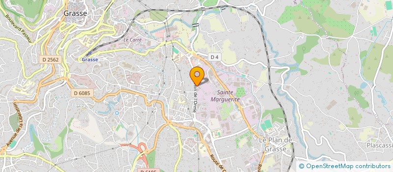 localisation de l'entreprise MONSIEUR NOAM VICINI  GRASSE