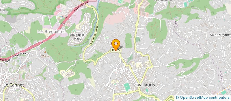 localisation de l'entreprise MONSIEUR NOE CABEZAS  VALLAURIS