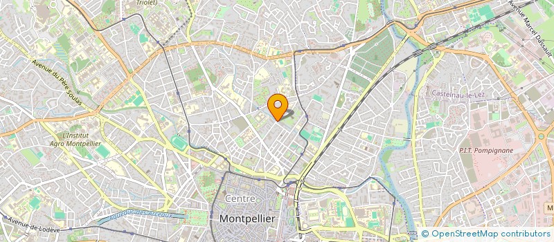 localisation de l'entreprise MONSIEUR NOE MARCO NAVARRO à MONTPELLIER
