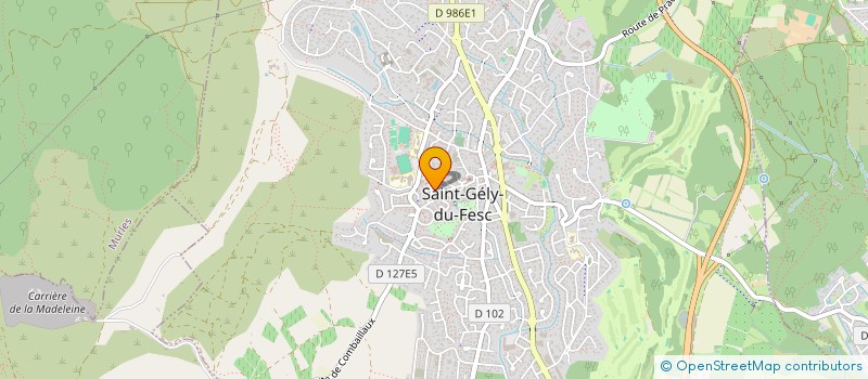 localisation de l'entreprise MONSIEUR NOEL BOURDON  SAINT-GELY-DU-FESC