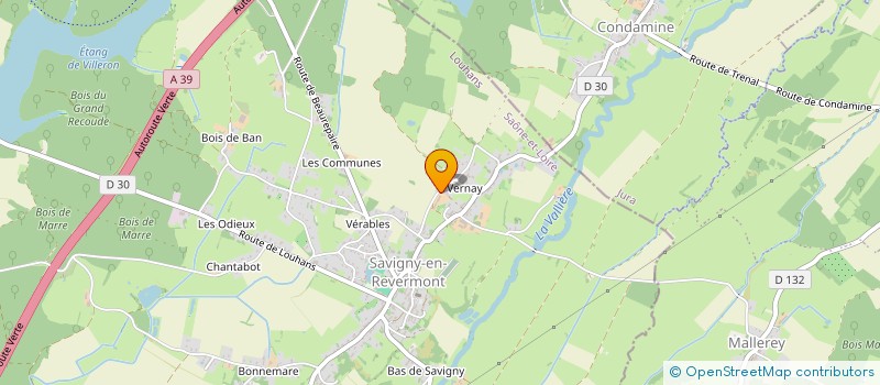 localisation de l'entreprise MONSIEUR NOEL BRETIN  BEAUREPAIRE-EN-BRESSE