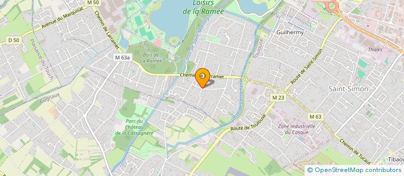 localisation de l'entreprise MONSIEUR NOEL DUMAS  TOURNEFEUILLE