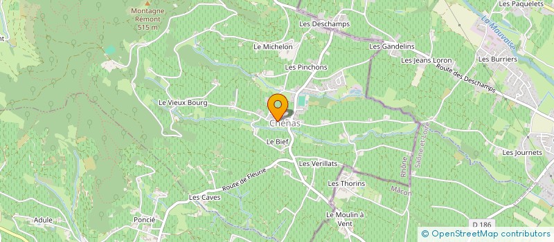 localisation de l'entreprise MONSIEUR NOEL GAY  CHENAS