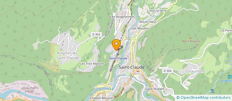 localisation de l'entreprise MONSIEUR NOEL TORTES  LAVANS-LES-SAINT-CLAUDE