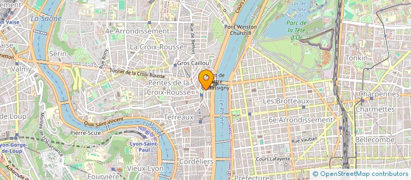 localisation de l'entreprise MONSIEUR NOLAG DIMI-NIANGA à LYON