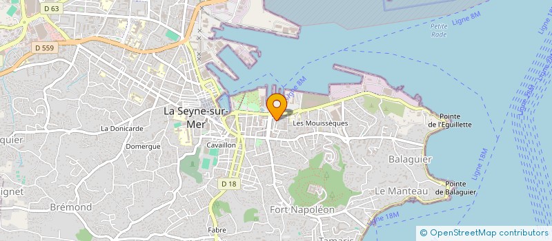 localisation de l'entreprise MONSIEUR NON RACZKIEWICZ à LA SEYNE-SUR-MER