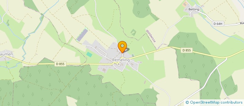 localisation de l'entreprise MONSIEUR NORBERT LORENZ  REMELING