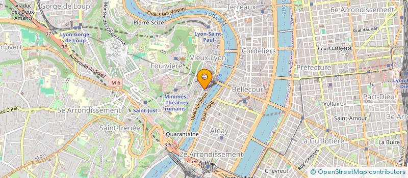 localisation de l'entreprise MONSIEUR NORBERT MICHEL  LYON