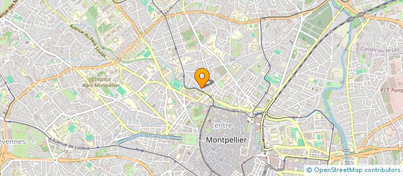 localisation de l'entreprise MONSIEUR NOSRAT PIRAYEHGAR à MONTPELLIER