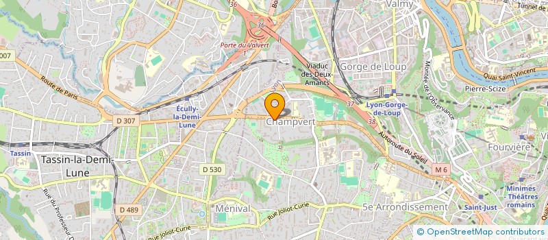 localisation de l'entreprise MONSIEUR NSOGBU WADIKE à LYON