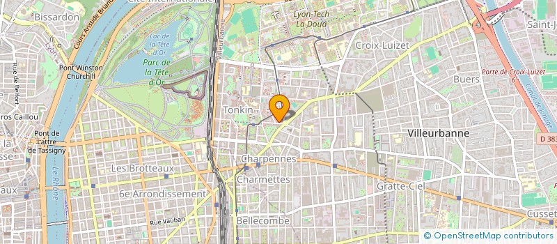 localisation de l'entreprise MONSIEUR NTITA DIPUMBA  VILLEURBANNE