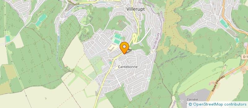 localisation de l'entreprise MONSIEUR NUNO SIMAO DA SILVA MACHADO  VILLERUPT