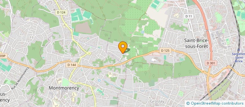 localisation de l'entreprise MONSIEUR NURETTIN YALCIN  SAINT-BRICE-SOUS-FORET