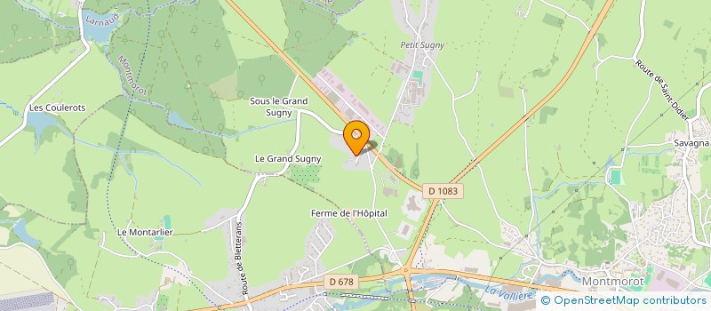 localisation de l'entreprise MONSIEUR NYL FOISSOTTE  MONTMOROT