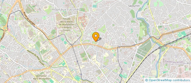 localisation de l'entreprise MONSIEUR O'NEIL BENALI à MONTPELLIER