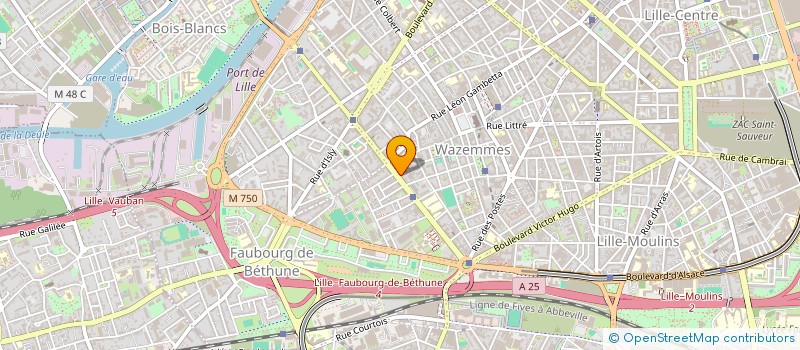localisation de l'entreprise MONSIEUR OCTAVE CHOICHILLON à LILLE
