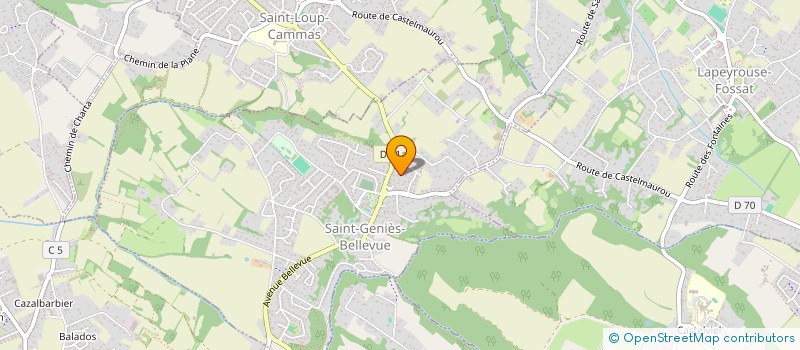 localisation de l'entreprise MONSIEUR OCTAVE PREGET  SAINT-GENIES-BELLEVUE