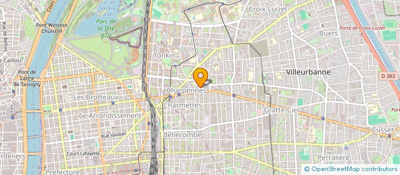 localisation de l'entreprise MONSIEUR OCTAVIAN BELDEAN  VILLEURBANNE