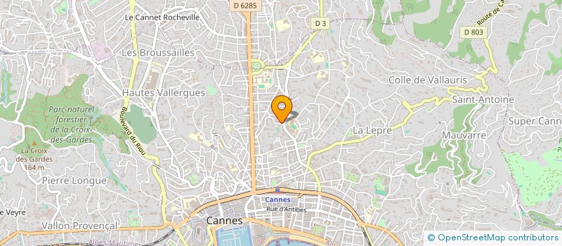 localisation de l'entreprise MONSIEUR ODIN MANDON  CANNES