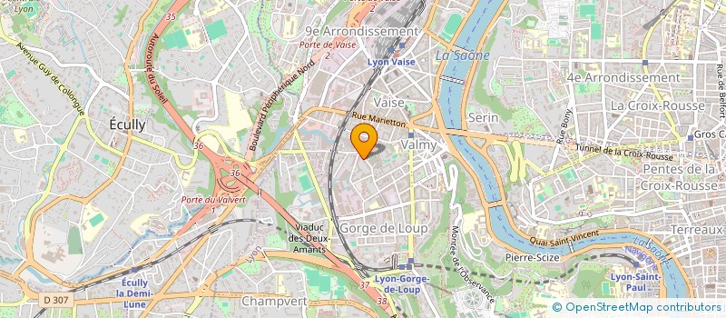 localisation de l'entreprise MONSIEUR OGIEVA OMOVIE OSUOKO  LYON