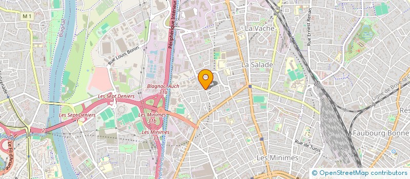 localisation de l'entreprise MONSIEUR OGNYAN RODOPSKI à TOULOUSE