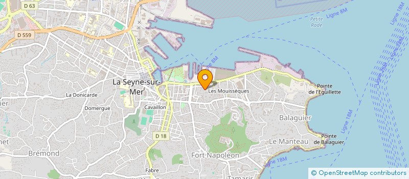 localisation de l'entreprise MONSIEUR OISSIM BEN KHALIFA à LA SEYNE-SUR-MER