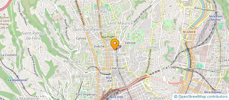 localisation de l'entreprise MONSIEUR OLEG TURGHENEV à NICE