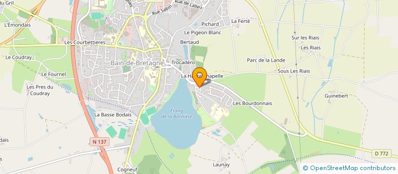 localisation de l'entreprise MONSIEUR OLEG TVERDOHLEB  BAIN-DE-BRETAGNE