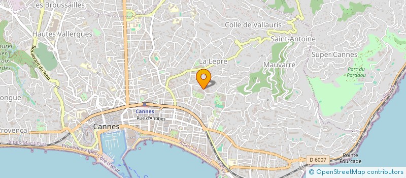 localisation de l'entreprise MONSIEUR OLEH YAKOVENKO à CANNES