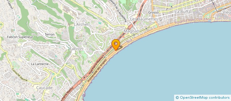 localisation de l'entreprise MONSIEUR OLEKSII GUSHCHYN à NICE
