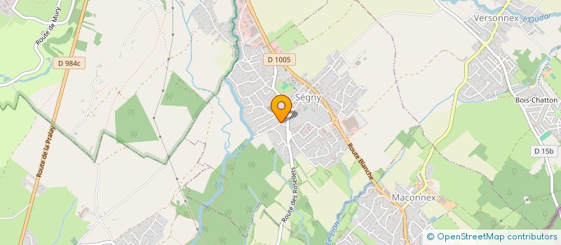 localisation de l'entreprise MONSIEUR OLIVER NYASSE NYA SCHWAB  SEGNY