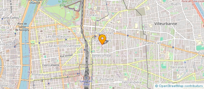 localisation de l'entreprise MONSIEUR OLIVER SABA  VILLEURBANNE