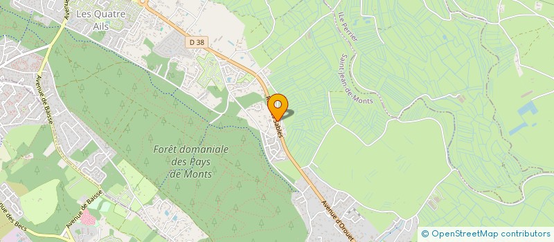 localisation de l'entreprise MONSIEUR OLIVIER ADIN  SAINT-JEAN-DE-MONTS