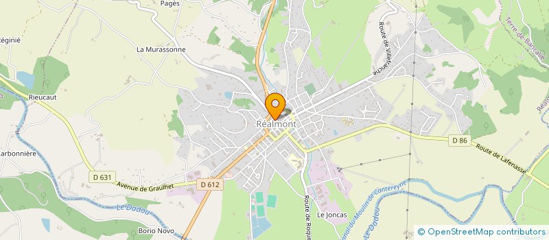 localisation de l'entreprise MONSIEUR OLIVIER BOURLAND à REALMONT