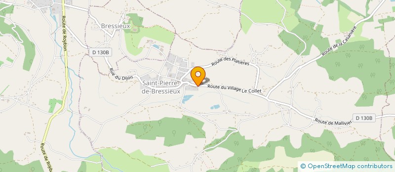 localisation de l'entreprise MONSIEUR OLIVIER BRECHON à SAINT-PIERRE-DE-BRESSIEUX